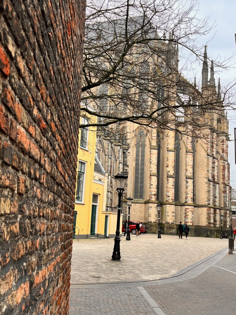 Gotische gevel van de Domkerk achter een bakstenen muur
