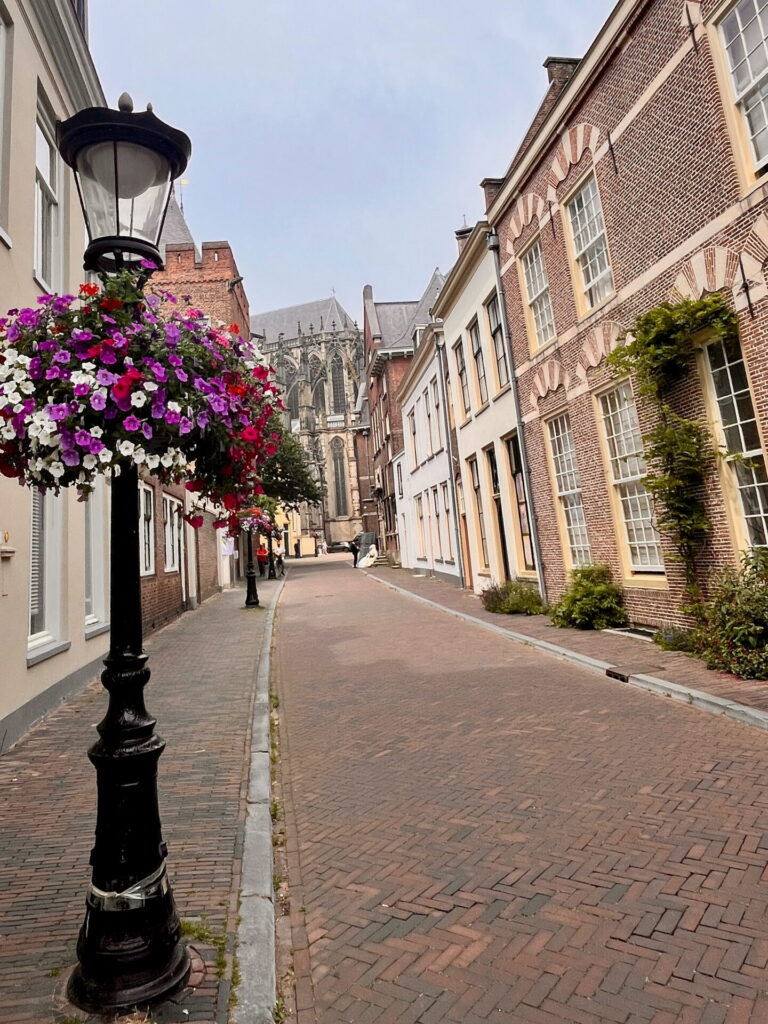 kruipdoor-img_1590 Straat met bloembakken en historische gevels