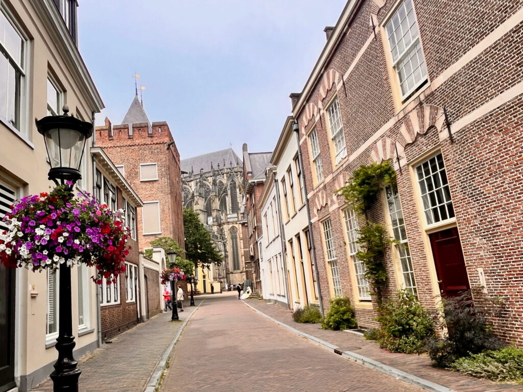Straat met bloembakken en historische gevels